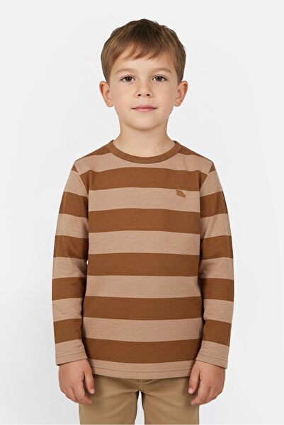 Tony Hawk Toddlers Boy Crew Neck Long Sleeve Stripe T-Shirts, Multicolor