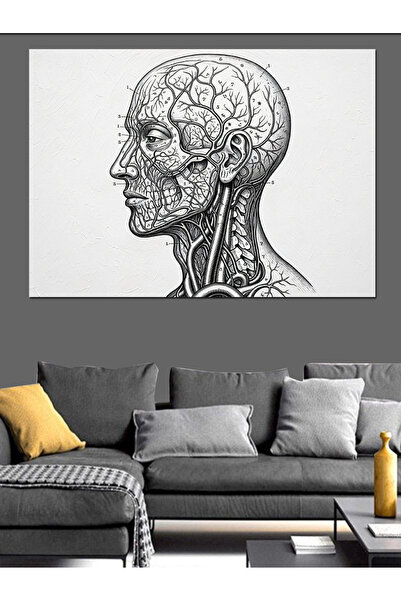 KanvasSepeti Ανθρώπινο Κρανίο Υψηλής ποιότητας ελαιογραφία d Με υφή Καμβάς Κα...