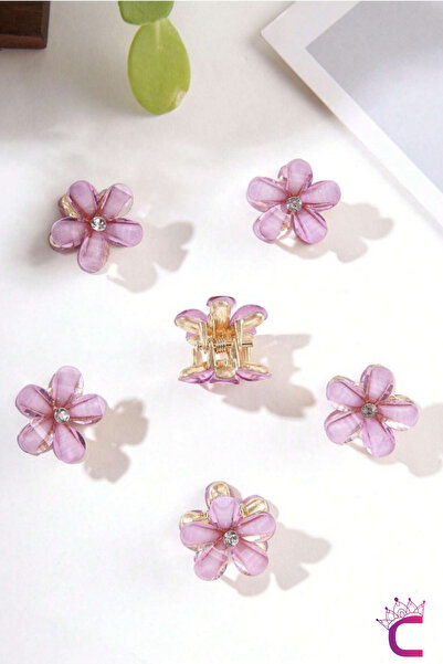 Cinderella 6-Piece Lilac Purple Floral Crystal Stone Tiny Hairpin Braided Hair Ornament Clip - Teenage Girls' Ornament Metal