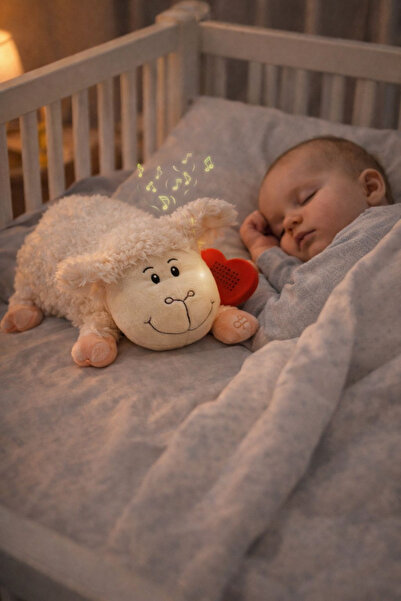 NASYONEL TOYS Türkçe Masal Anlatan Ninni Söyleyen Uyku Arkadaşım Yastık Kuzuc...