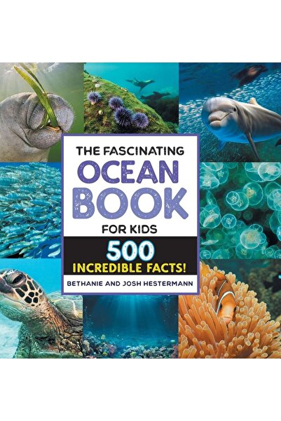 Sourcebooks The Fascinating Ocean Book for Kids