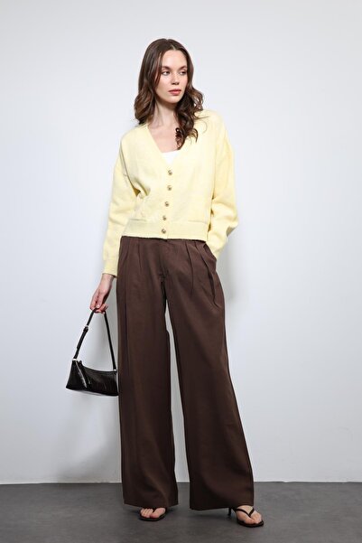 Antioch Brown Waist Elastic Pleated Women's Trousers