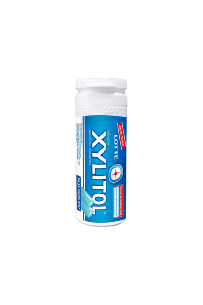 FO Lot Zylitol Gum Mint Fresh 29g