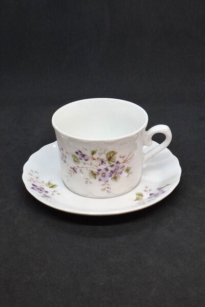 Bavaria Eschenbach Antique Porcelain Tea/Coffee Cup 2 Pieces 130 ml