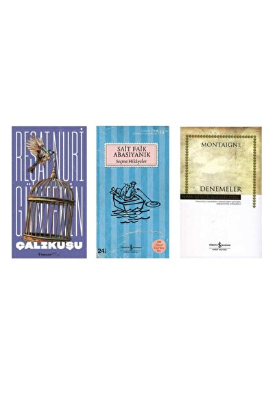 TÜRKİYE İŞ BANKASI KÜLTÜR YAYINLARI calikusu + sait faik abasiyanik(secme hik...