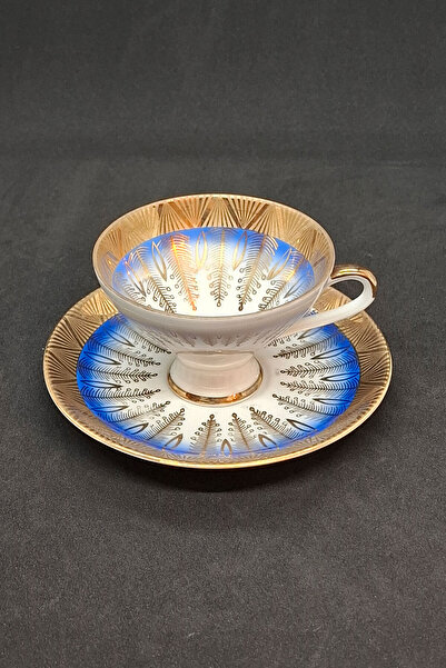 Bavaria Bareuther Waldsassen Vintage Porcelain Tea/Coffee Cup Blue 2 Pieces 120 ml