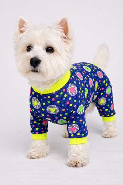 DOGİ&DOG ملابس الكلاب من نوع Neon Points للكلاب الصغيرة (1-10 كجم)