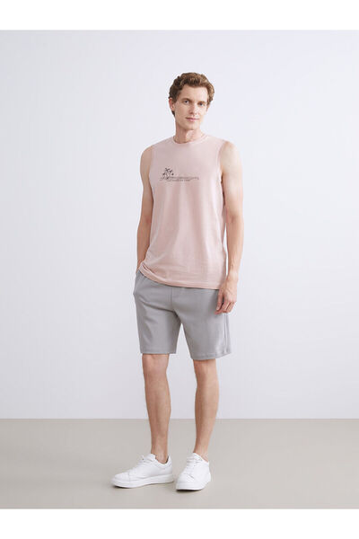 LC Waikiki Ανδρικό σορτς Standard Fit