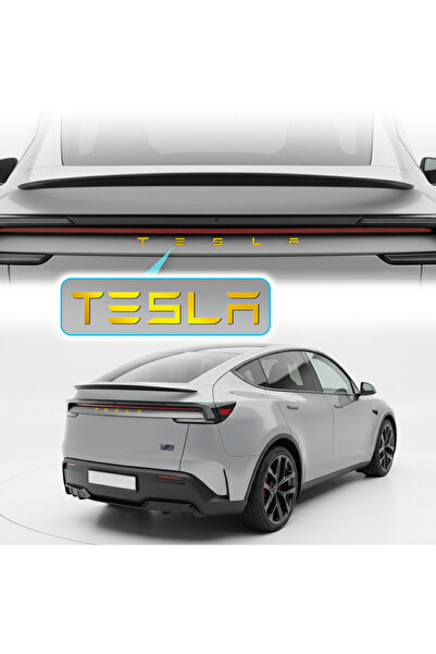 Ipg Tesla Model 3-Y Arka Logo Yazı Amblem Sticker Seti (2 Adet)