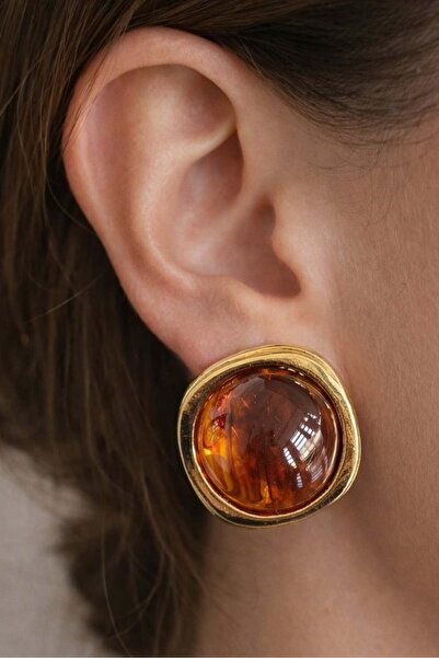 TAKIŞTIR Altın Ve Kahve Renk Taş Detaylı Küpe (Çift)