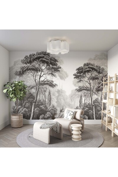 Grown Siyah Beyaz Orman Yolu Duvar Kağıdı