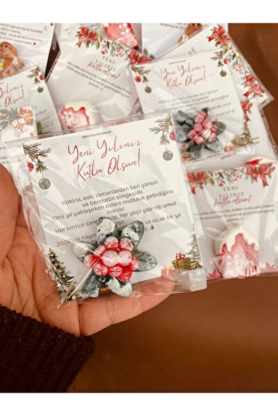 AlohamoraShop Dekoratif Kokina Yılbaşı Magneti 10 adet | Özel Tasarım Kartlı ...