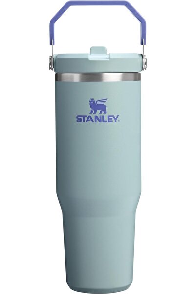 Stanley The Iceflow Flip Straw Thermos Cup with Straw 0.89 Lt (30 oz) - Blue Cactus