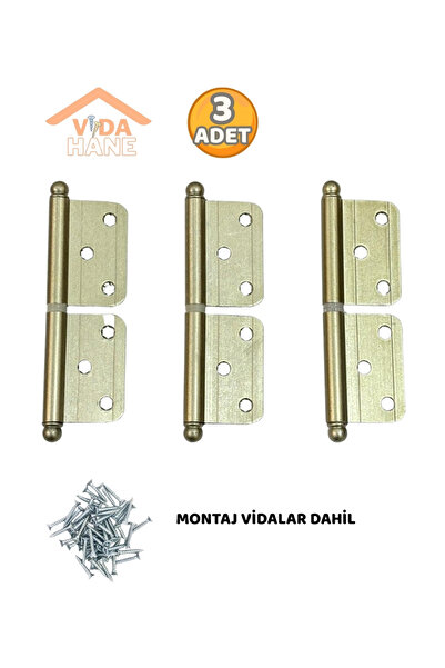 Beşel VİDA HANE 3 ADET YÖNSÜZ MENTEŞE SATEN -MONTAJ VİDALAR DAHİL - KAPI MENT...