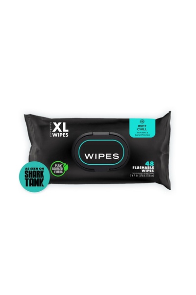 iron candy 48ct Flushable Wet Wipes Plant-Based Mint&Eucalyptus XL Portable Pack