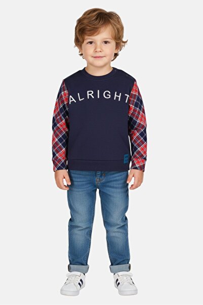 Overkids Toddlers Boy Brand Logo Long Sleeve Sweater, Multicolor