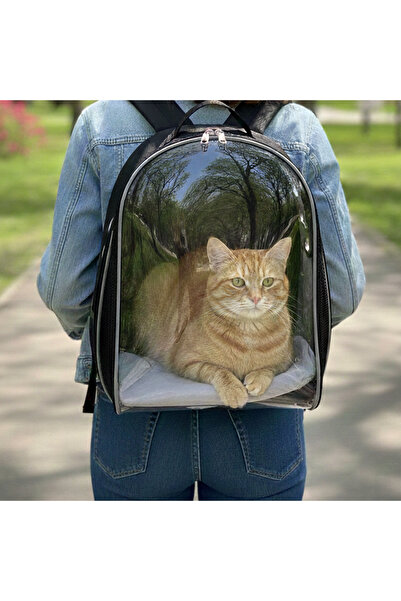 ENS PLASTİK Astronot Şeffaf Pencereli Kedi Taşıma Sırt Çantası – Uçak, Kabin ...