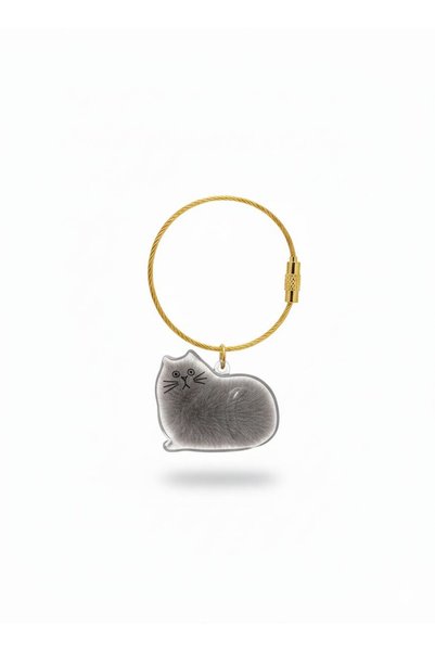 IDL COLLECTION Cat Hair Storage Capsule Keepsake Gift Transparent Cat-Shaped Keychain Charm Accessory