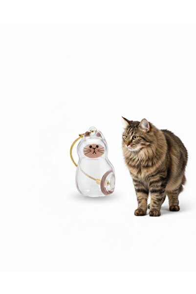 IDL COLLECTION Kedi Tüyü Saklama Kapsülü Anı Hediyesi Şeffaf Kedi Şeklinde An...