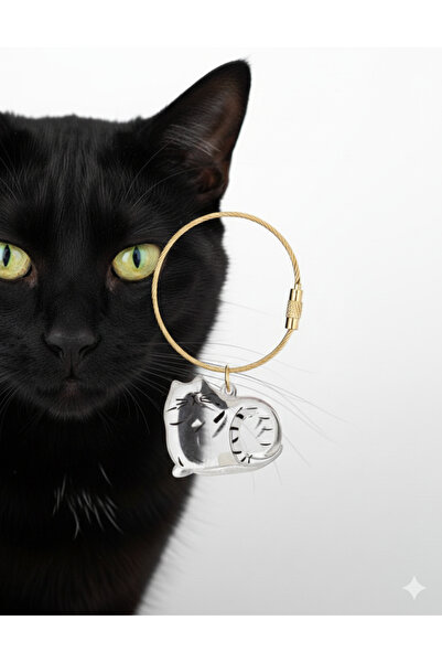 IDL COLLECTION Kedi Tüyü Saklama Kapsülü Anı Hediyesi Şeffaf Kedi Şeklinde An...