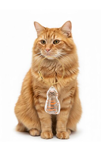 IDL COLLECTION Kedi Tüyü Saklama Kapsülü Anı Hediyesi Şeffaf Kedi Şeklinde An...