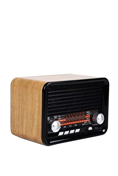 FLAGEN Mini Taşınabilir Bluetooth Hoparlör Radyo USB ve TF Kart Girişli Şarjl...