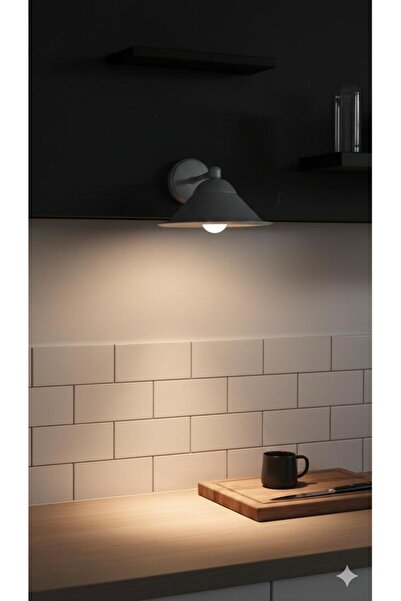 BİAVİZE Modern Wall Sconce with Gray Japanese Hat