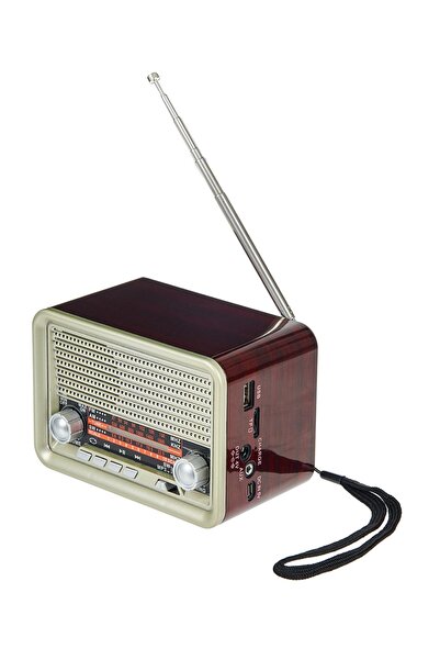 FLAGEN Mini Taşınabilir Bluetooth Hoparlör Radyo USB ve TF Kart Girişli Şarjl...