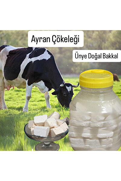 ÜNYE DOĞAL BAKKAL Ayran Çökeleği 1Kg