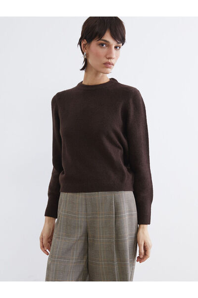 LC Waikiki Create Your Style with Uzg Store Brown Crew Neck Women's Knitwear ...