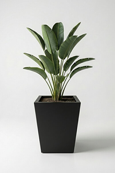 DEQQU Aura Conica 50x35cm Fiber Konik Saksı - Mat - Büyük Saksı - Fiberglass ...