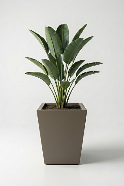 DEQQU Aura Conica 50x40cm Fiber Konik Saksı - Mat - Büyük Saksı - Fiberglass ...