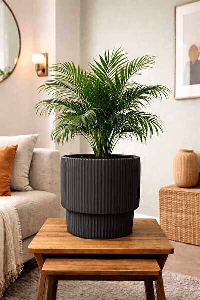 esm vase Dekoratif Çizgili Orta Boy Ev Ofis Saksısı 32x31cm