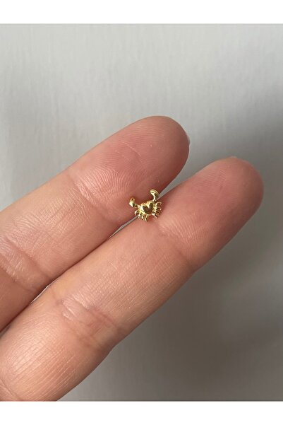 denizden silver Gümüş yengeç piercing