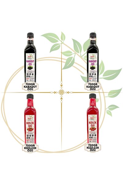 Baştan Yöresel 2 ADET 700GRAM KARADUT ÖZÜ VE 2 ADET 700GRAM KIZILCIK ÖZÜ