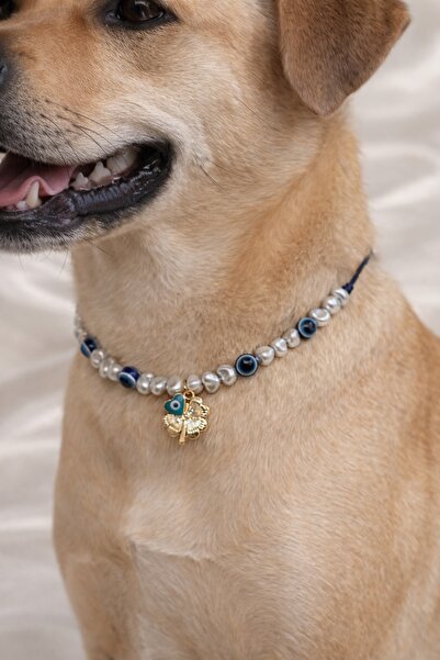 Femenino Customizable Adjustable Dog Necklace