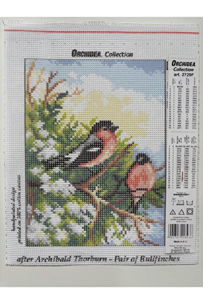 Orchidea Tapiserie 18x24