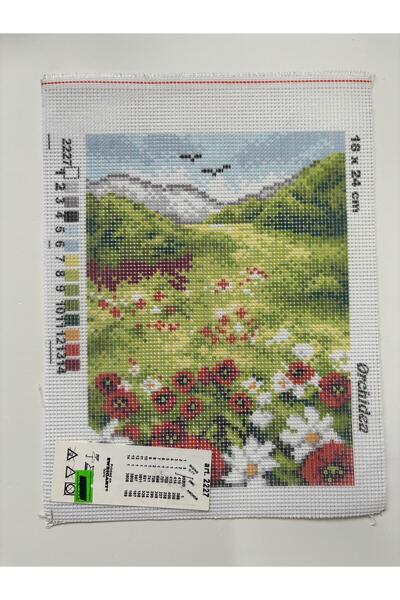 Orchidea Tapiserie 18x24