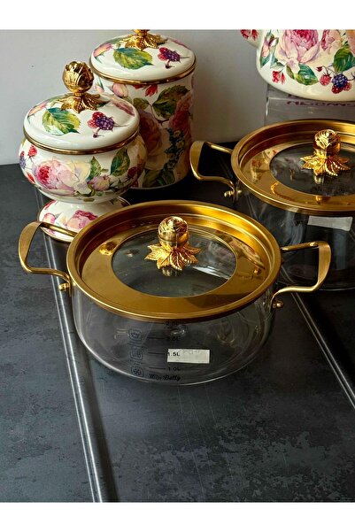 ROSSEV Rose Glass Pot Set of 2