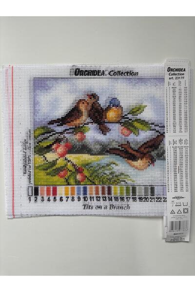 Orchidea Tapiserie 18x24