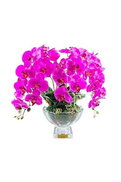 Cote Noire - Luxury Centerpiece Mor Orkide Koku