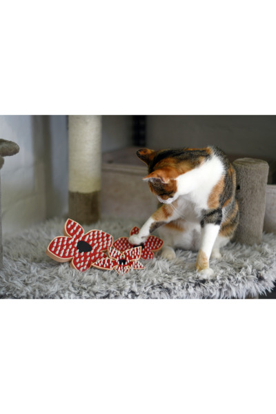 Lades فرشاة الحيوانات الأليفة من سترينجر ثينجز ديموجورجون