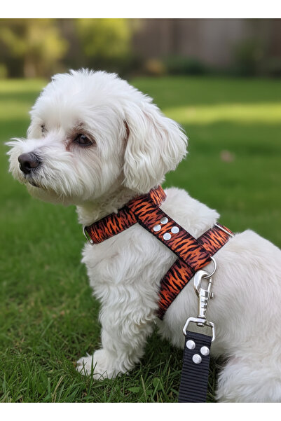 balkonda Dog Collar H Type Tiny and Small Breed Adjustable Column Cord Tiger ...