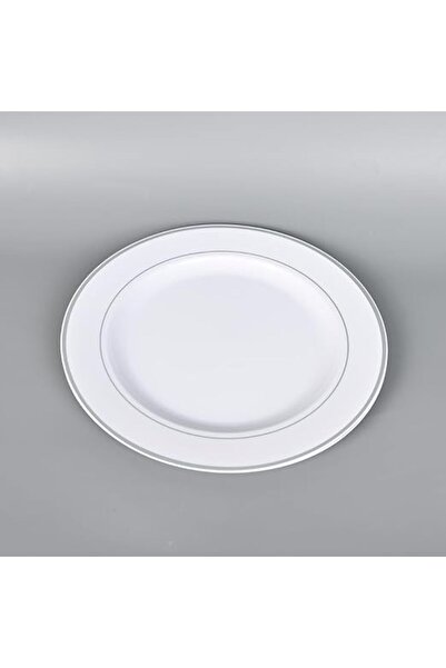 Generic Set of 2 High-Quality Plastic Plates with Elegant Silver Edge