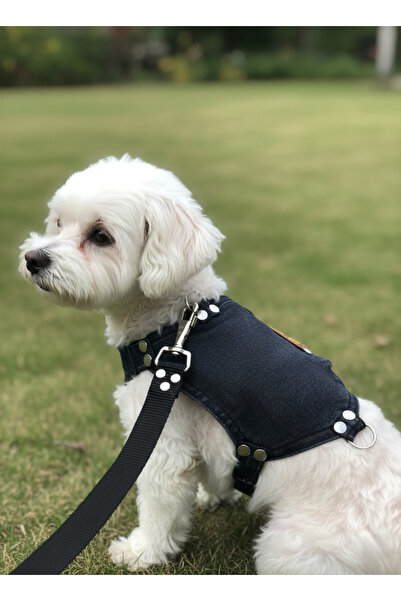 balkonda Dog Collar Small and Mini Breed Adjustable Denim Smoked & Grey