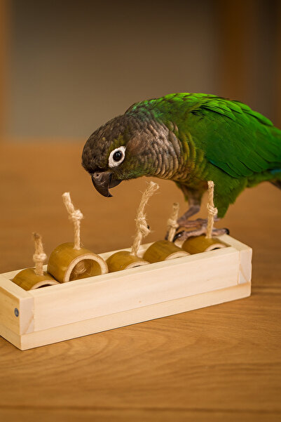 Alyones Kuş Oyuncağı | Bambu Halkalı Yemlik Oyuncak 18 cm – Doğal ve Eğlenceli