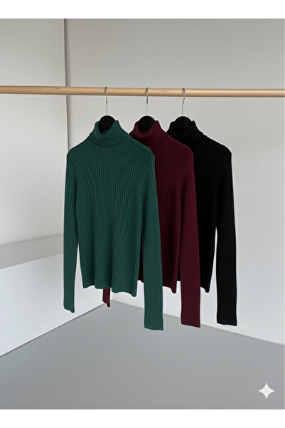 J JAKARLI Set of 3 Soft Textured Winter Cotton Turtleneck Fleece-Lined Slimfi...