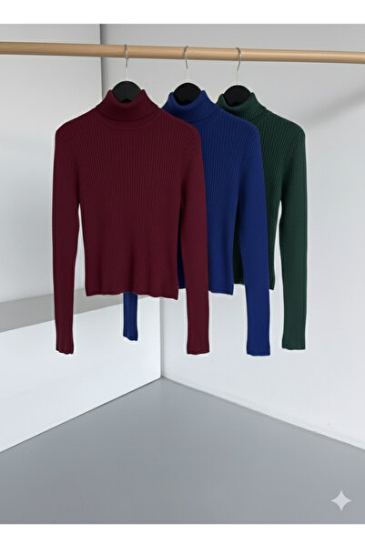 J JAKARLI Set of 3 Soft Textured Winter Cotton Turtleneck Fleece-Lined Slimfi...