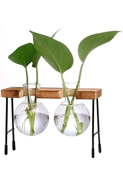 The Bros محطات تكاثر النباتات مع حامل خشبي، مزهرية زجاجية لزراعة النباتات على سطح الطاولة، مناسبة للزراعة المائية