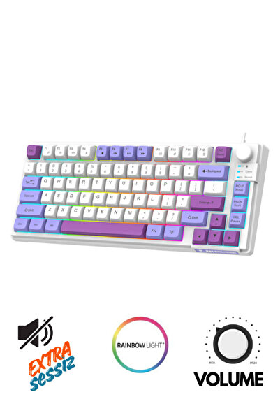 ATAsoft ELEKTRONİK Since 2021 K81 Extra Sessiz Gaming & Ofis 81 Tuş Göstergel...